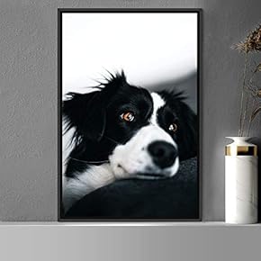 signwin Framed Canvas Wall Art Pupper Animals Chic...