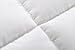 Down Alternative All Season Comforter Queen (350 GSM) with 3