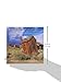 Outhouses: Flushing Out America's Hidden Treasures
