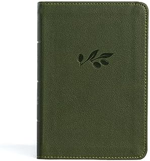 KJV Large Print Compact Reference Bible, Olive LeatherTouch, Red