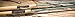 St. Croix Avid Series Inshore Spinning Rods