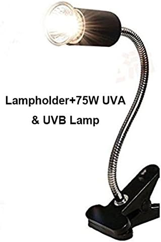 clamp lamp terrarium