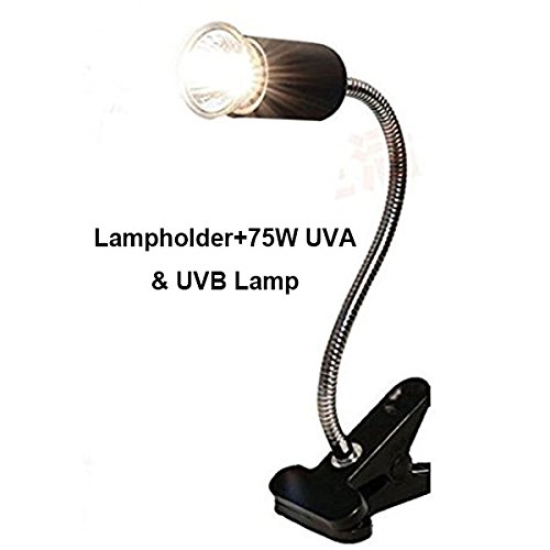 UVA UVB Flexible Clamp Lamp Holder - Reptile Terrarium Clip On Light Fixture,Max 300W Heat Lamp Stand Fixture(One 75W lamp+Lamp Holder)