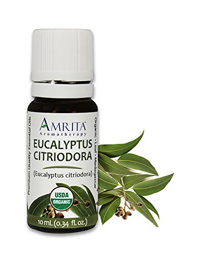 Amrita Aromatherapy Organic Eucalyptus Citriodora Essential Oil, 100% Pure Undiluted Eucalyptus citriodora, Therapeutic Grade, Premium Quality Aromatherapy oil, Tested & Verified, 10ML