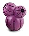 PetSafe Busy Buddy Barnacle - Dog Chew Toy - Treat Dispensing Dog Toys