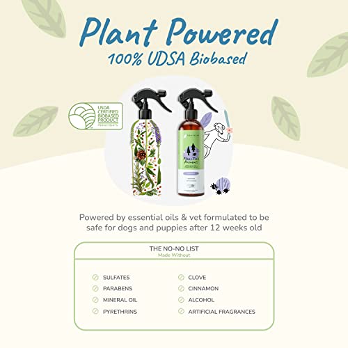 kin+kind Flea and Tick Spray for Dogs Flea Spray for Home/Outdoor Use