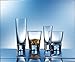 Schott Zwiesel Tritan Crystal Glass Tossa Barware Collection Shot Glass, 2.7-Ounce, Set of 6