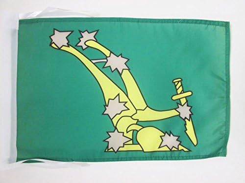 AZ FLAG, Starry Plough of Ireland Flag, 18'' x 12'', 100% Polyester Irish Citizen Army Small Banner with Two Cords