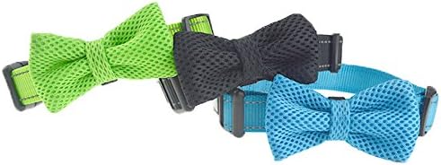 DEXDOG Bow Tie Dog Collar, Male Boy Puppy Accessory (Small, Blue)