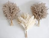 30 PCS Boho Decor, Fluffy Pompas Grass, Natural Dry