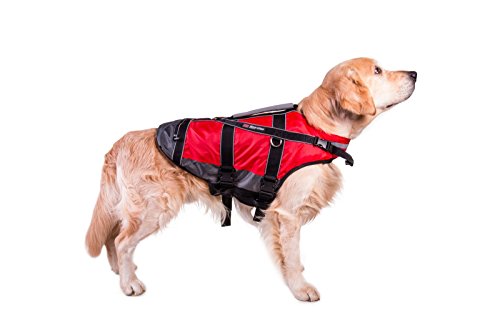human life jacket on dog