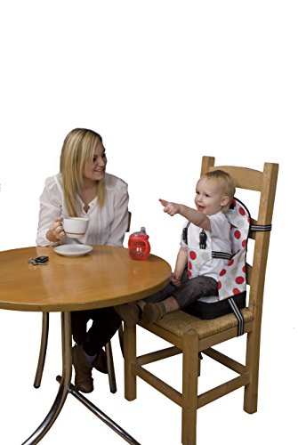 polar gear booster seat