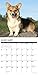 Just Corgis 2020 Wall Calendar (Dog Breed Calendar)