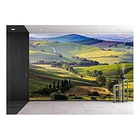 Beautiful and Miraculous Colors of Green Spring Landscape of Tuscany, Italy. - Removable Wall Mural | Self-Adhesive Large Wallpaper - 66x96 inches