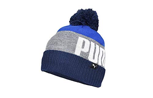 PUMA Men's Evercat Block Cuff Pom Beanie