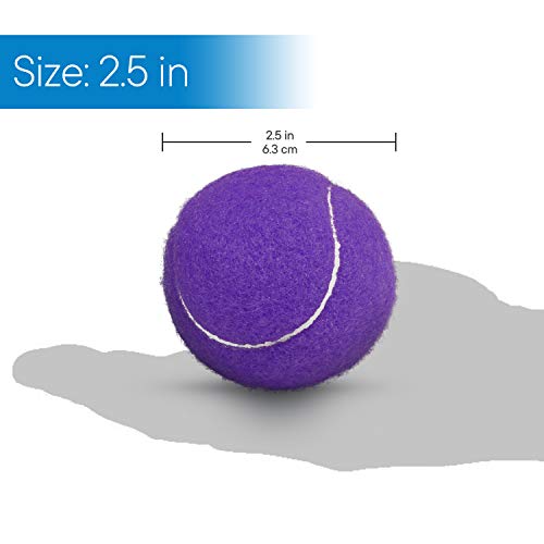 image for RMS Royal Medical Solutions, Inc. RMS Walker Glide Balls - A Set of 2 