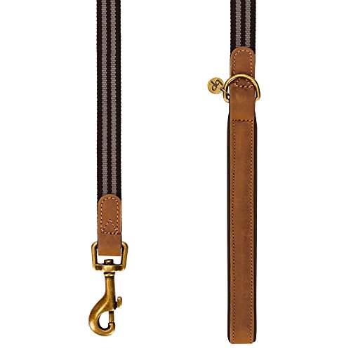 Blueberry Pet 6 Colors Classic Staple Striped Genuine Leather and Polyester Webbing Dog Leash with Soft & Comfortable Handle, 4 ft x 1", Chocolate & Taupe, Leashes for Dogs