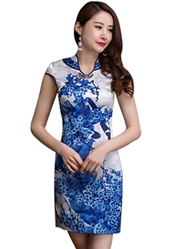 Aro Lora Women's V-Neck Qipao Chinese Flower Cheongsam Vintage Dresses