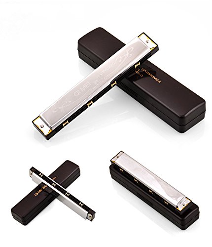 Blues Harmonica, C Key 24 Holes Major Diatonic Double Tremolo, Harmonica Musical Instrument Accessories for Children, Student, Adult Beginner with Case, with Tone Mark (silver)