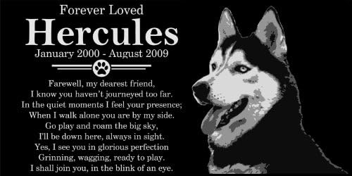 Personalized Siberian Husky Dog Pet Memorial 12"x6" Engraved Black Granite Grave Marker Head Stone Plaque HER1