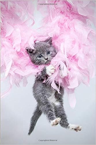 Composition Notebook Kawaii Kitty Cat Cute Cats Gift For Kitten Lovers Colorful Art Kitty Adoption Cat Lovers Easter Gifts Ideas Birthday Gifts Pages 6 14 X 9 21 Cat Quote Journal Notebook N B