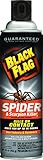 Black Flag Spider and Scorpion Killer Aerosol Spray, 16-Ounce