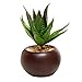 MyGift Succulents Plants Artificial, Fake Faux Indoor House Plants in Round Brown Ceramic Pots, Set of 3