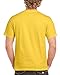 Gildan Men's G2000 Ultra Cotton Adult T-shirt, Daisy, Large