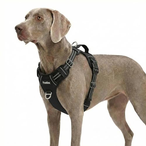 Funfox Dog Harness for Xlarge Dogs, No Pull Pet Vest Adjustable with Vertical Handle & Front Clip, Anti Pull Padded Harness Reflective Night Walking Size for X-Large Breed, Black XL โ image 1