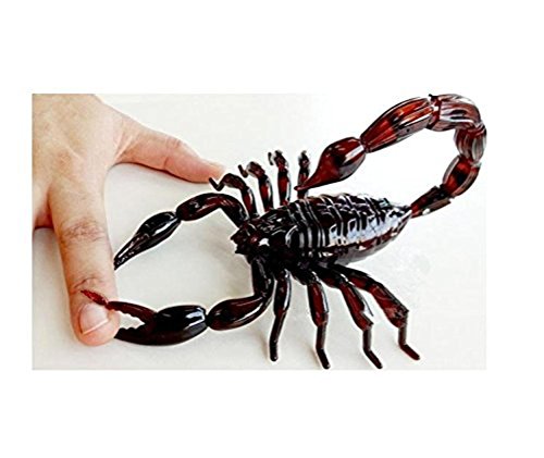 Anshinto High Simulation Animal Scorpion Infrared Remote Control Kids Toy