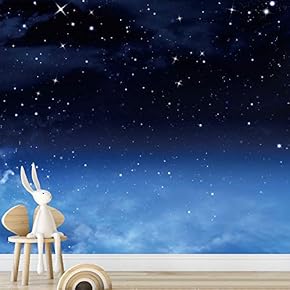 signwin Wall Mural Stars and Moon in Night...