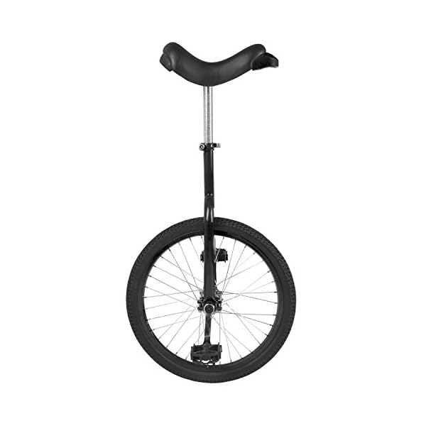 Fun 20 Inch Wheel Unicycle with Alloy Rim Juggle a Lot