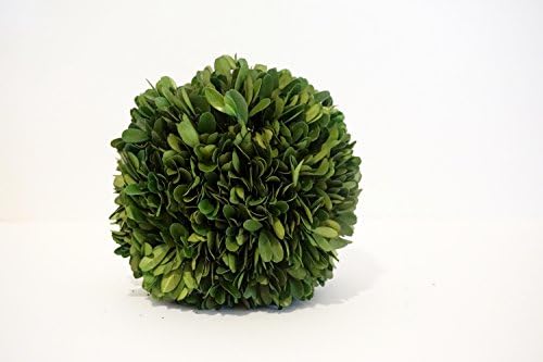 Preserved boxwood 4" balls