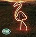 Northlight Tropical Lighted Pink Flamingo Rope Light Outdoor Yard Art Decoration, 24
