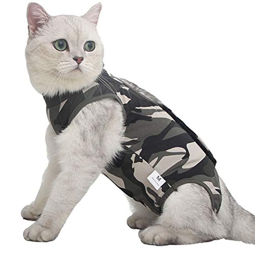 Elizabethan & Recovery Collars