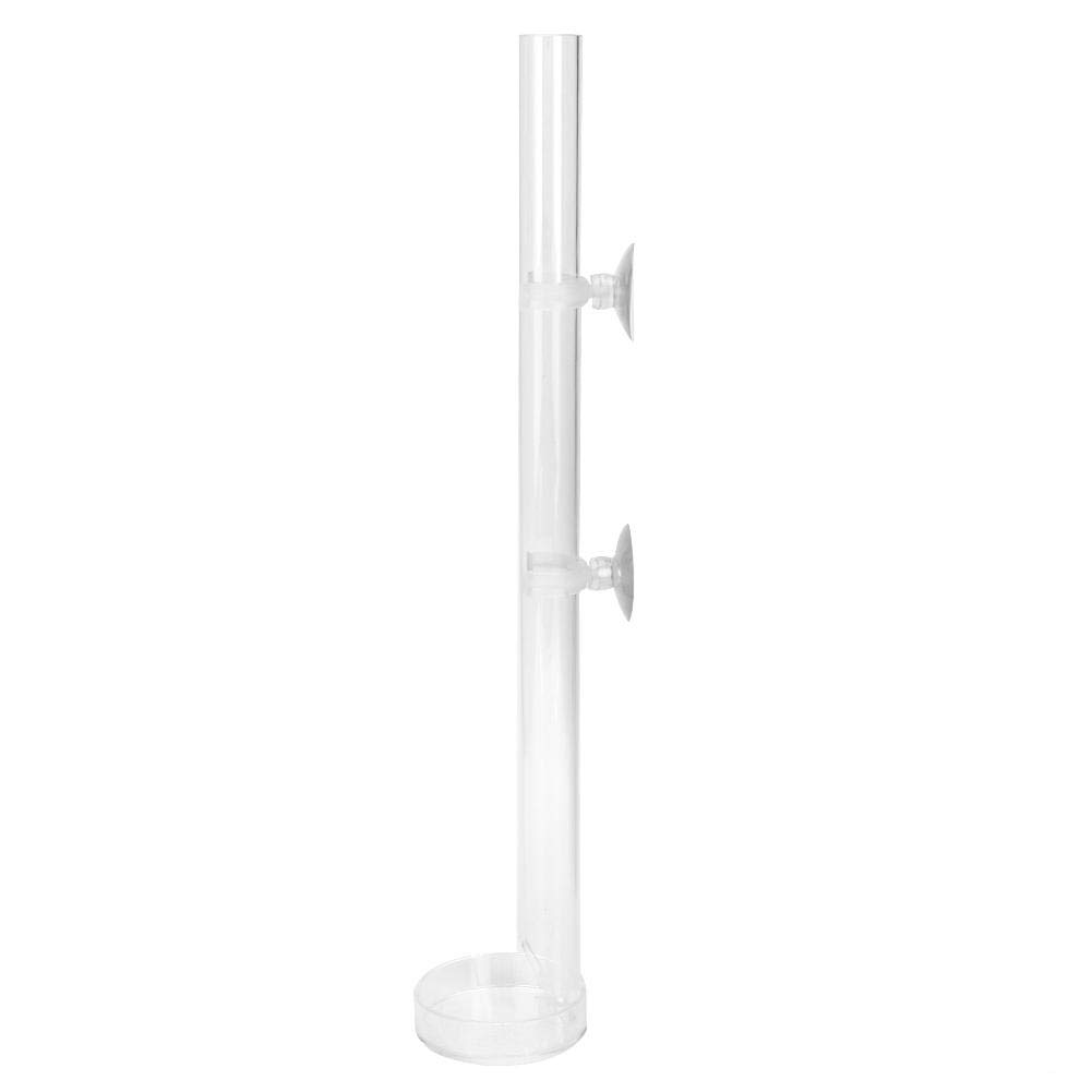 Crystal Shrimp Feeder Tube and Plate for Aquarium - Transparent Acrylic Durable Fish Tank Feeding Accessory, Ideal for Crystal Shrimp Care (20cm)