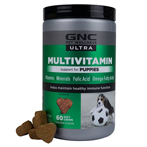 The Best Vitamins For Puppies Dogtime