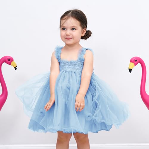 Miipat Dresses for Babies Girls Butterfly Tulle Sleeveless Little Girl Princess Dress Birthday Party Wedding Flowers Girl Dress