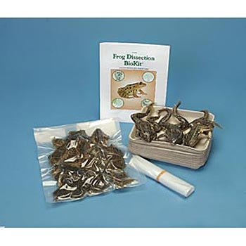 Frog Dissection BioKit