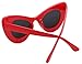 FEISEDY Retro Cat Eye Women Sunglasses Cateye Acetate Frame Polycarbonate Lenses B2239