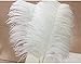 STTQYB Ostrich Feathers, 20Pcs Feathers for Centerpieces, Natural Ostrich Feathers for Wedding Centerpieces Home Decoration (White, 10-12 Inches)