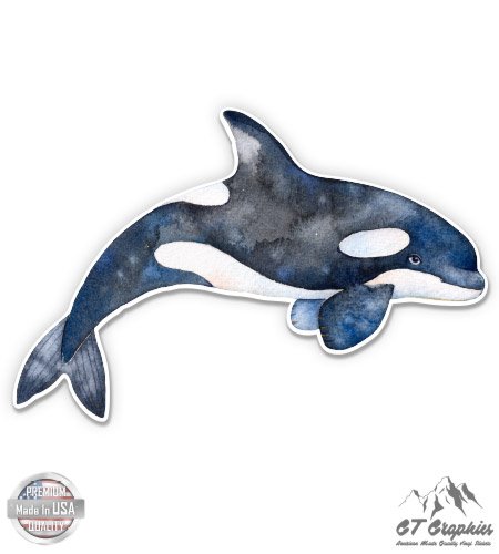 Watercolor Orca - 3