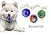 3 Squeak Sound Dog Ball Toys 6 Different Ways Capture Your Dogs Attention, 3 Different Funny Sounds for Small Medium Dogs and blind Dogs, Soft Dog Toys Easy For Dogs To Grab, Goofy Waggle Bounce Toy