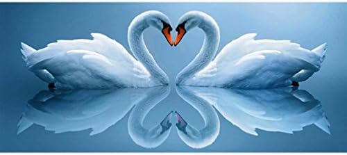 YRD Tech Diamond Painting DIY 5D Swan Lake Sparkling Crystal Diamond Embroidery Square Rhinestones Mosaic Kit Home Decor (A 35x18)