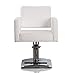 FlagBeauty White Hydraulic Barber Styling Chair Hair Beauty Salon Equipment Square Base
