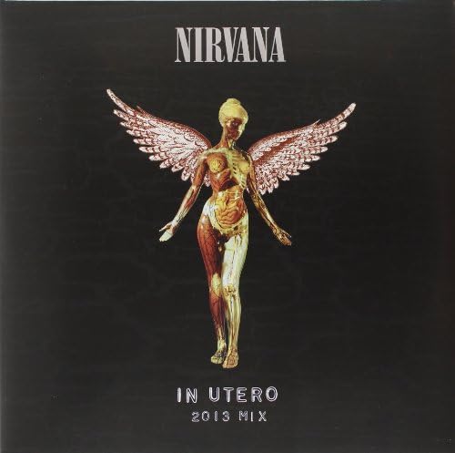 Amazon.com: In Utero - 30th Anniversary Deluxe Japanese Edition