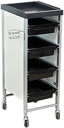 Salon Hairdressing Trolley Storage Tray Cart Coloring Beauty Stylist Equipment with Hair Dryer Holder,Rolling Wheels,Drawer