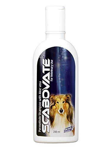 dog shampoo with permethrin