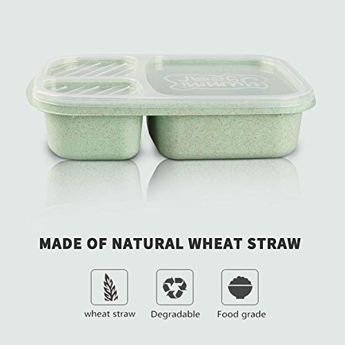 Bento Lunch Box,Food Storage Containers with Airtight Lids, 3 Compartment Plastic Divided Food Storage Container Boxes for Kids & Adults