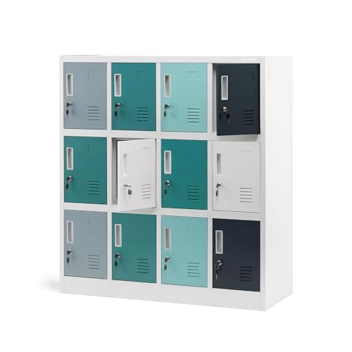 Jan Nowak Metalen kast school kleuterschool met 12 afsluitbare vakken, kastkast staal, garderobekast kinderen, kleuterschool kluisje, 120 x 109 x 45 cm